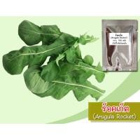ราคา （เมล็ด）การร็อคเก็ต (Rocket Salad) 500 เมล็ด การสลัดร็อคเก็ต สลัดร็อคเก็ต เ/งอก ปลูก ส/บา การ (16094298283)