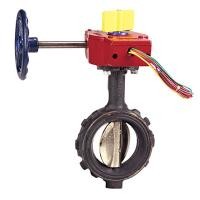 ราคา NIBCO Butterfly Valve,WD48638N, 4" (17298587366)