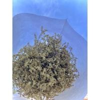 ราคา ดอกไม้แห้ง ดอกแคสเปียร์ (8554616531)