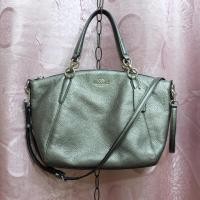 ราคา พร้อมส่ง Coach พัด 13” (744435652)