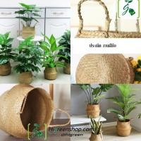 ราคา ตะกร้าสาน สำหรับใส่กระถาง ใส่ต้นไม้ ตะกร้าสานแบบมีหูจับ (9517596773)
