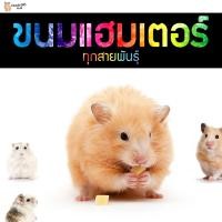ราคา ขนมหนูแฮมเตอร์ โลโบ ใจแอ้นท์ วินเทอร์ไวท์ แคมเบล หนูอื่นๆ สัตว์เล็กทุกสายพันธ์ (22740353642)