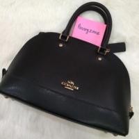 ราคา Coach dome mini 10" black (144238388)