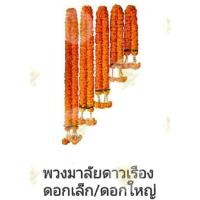 ราคา พวงมาลัยดาวเรือง ดอกใหญ่ มาลัย ดอกดาวเรือง มาลัยดาวเรือง (6004454778)