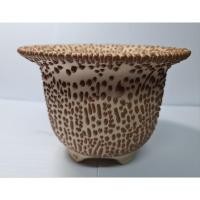 ราคา กระถางเซรามิคทรงปากแตร (28555828994)