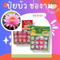 ราคา #ปุ๋ยบัว #ปุ๋ยเม็ด #ช่องาม 12 เม็ด พร้อมส่ง (9446299305)