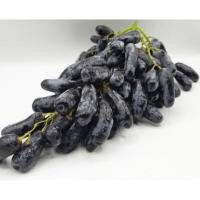 ราคา TOP-1องุ่นแม่มด องุ่นเล็บมือนาง (1กก) Moon Drops Grape (USA/AUS) Sweet Sapphire ~ลดพิเศษ~ องุ่นดำไร้เมล็ด องุ่นนิ้วมือแม (11961850134)