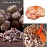 ราคา กระเทียม กระเทียมไทย กระเทียมเชียงใหม่ กระเทียมตัดจุก/กระเทียมแกะกลีบ 1 กิโลกรัม (6335117565)