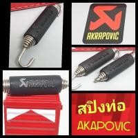 ราคา สปิงท่อakrapovic เลสแท้ (8415543609)