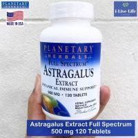 ราคา อึ้งคี้ Astragalus Extract Full Spectrum 500 mg 120 Tablets - Planetary Herbals (6840695624)