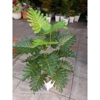 ราคา ต้นไม้เทียมพร้อมกระถาง(ต้นซานาดู) (9537163709)