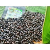 ราคา เมล็ดกาแฟโรบัสต้า100%คั่วเข้ม ขนาด 500 กรัม (19004951517)