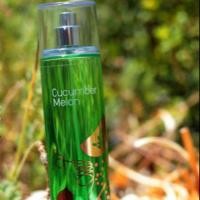 ราคา BBW bath and body works cucumber melon fine Fragrance mist น้ำหอม (1373537190)