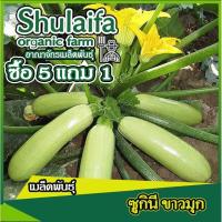 ราคา 3แถม1เมล็ดพันธุ์ซูกินีญี่ปุ่น ขาวมุก 30เมล็ด เมล็ดพันธุ์ซูกินีขาว เมล็ดพันธุ์ผักสวนครัว เมล็ดพันธุ์ต่างประเทศ (20970951380)