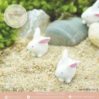 ราคา กระต่ายสวน (ฟิกเกอร์ ตุ๊กตา ของตกแต่ง) (22032390861)