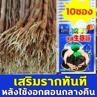 ราคา ใช้ได้พืชทุกชนิดช่วยให้พืชหยั่งรากได้เร็ว น้ํายาเร่งราก ยาเร่งราก ผงเร่งราก น้ํายาเร่งรากต้นไม้ ผงเร่งรากแคคตัส (22001065665)