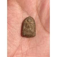 ราคา หลวงปู่ทวดเนื้อว่าน ออกวัดสุวรรณคีรี ปี 05 สงขลา (22525511803)