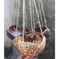 ราคา กระถางแขวนกล้วยไม้ ทำจากกะลามะพร้าวทรงดอกบัวบาน (2016582336)