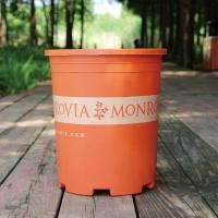 ราคา #กระถางต้นไม้ #กระถางพลาสติก #กระถางต้นไม้modern #กระถางต้นไม้พลาสติก #กระถางดอกไม้ #กะบะปลูกผัก #flowerpot (15986486841)