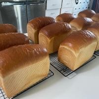 ราคา ขนมปังใช้แป้งขนมปังญี่ปุ่น (เพลนและโฮลวีท)japan bread( plain and whole wheat) (25652251890)