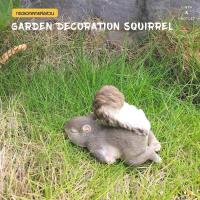 ราคา Big-hot Tree‘O กระรอกตกแต่งสวน รุ่นKH21B5627-14B ขนาด14x8x9.5ซม. สีเทาอ่อน สินค้าขายดี (23663793189)