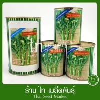 ราคา คะน้าฮ่องกง กวนอู เมล็ดคะน้า ฮ่องกง เมล็ดพันธุ์ ตรา ปลาทอง บรรจุ 500/80 กรัม (10295211160)