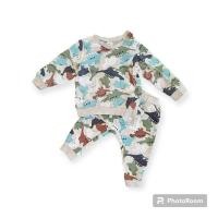 ราคา H&M จากช็อป ลายไดโนเสาร์ 12-18 m (21696337982)