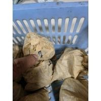 ราคา พระรอด วัดโคนอน หลวงปู่โต๊ะ ปลุกเสก ปี 2514 แท้ยันถุงเลยค่าา (20383630898)