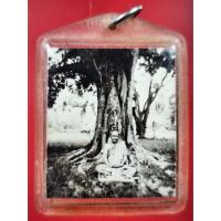 ราคา รูปถ่ายขาวดำ..ขนาดห้อยคอ หลวงพ่อพล วัดหนองคณฑี (20862142502)