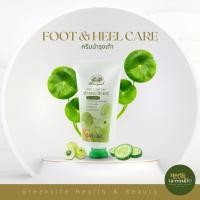 ราคา อภัยภูเบศร ฟุต แอนด์ ฮีล แคร์ (ครีมบำรุงเท้า) (13044030508)