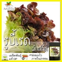 ราคา เมล็ดพันธุ์ ผักสลัด รูบี้เรด 1000 เมล็ด Ruby Red Lettuce Seed เมล็ดพันธุ์แท้100% นำเข้าจากต่างประเทศ ปลูกผัก สวนครัว ถูก (5744795494)