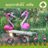 ราคา นกฟลามิงโก้ เรซิ่น ตกแต่งสวน อ่างปลา อ่างบัว ตุ๊กตาประดับสวน ตุ๊กตาเรซิ่น จัดสวน ร้าน Aomam.gerden (29357900232)