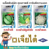 ราคา เจียไต๋ ผักซอง เมล็ดพันธุ์ผัก (ผักสายพันธุ์ทั่วไป) กะหล่ำปลี กะหล่ำปลีรูหัวใจ กะหล่ำดอก (4687221933)