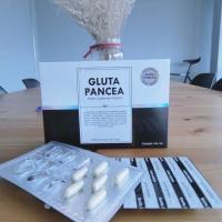 ราคา GLUTA PANCEA (702544296)