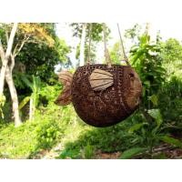 ราคา กระถางแขวนต้นไม้ กล้วยไม้ ไม้เลื่อย ทรงปลาปักเป้าทำจากกะลามะพร้าวเก็บเงินปลายทางได้ (3318897796)