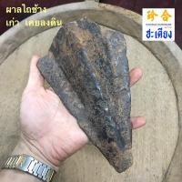 ราคา อุปกรณ์ไถนาโบราณ ผาลไถช้าง ผานไถนา ผาลไถเก่า (27602058079)