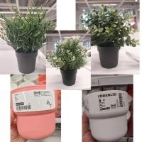 ราคา ikea อิเกีย แท้ 100% ต้นไม้ปลอม ต้นไม้ ต้นไม้ประดิษฐ์ ขนาด 9 ซม.ไธม์ แบมบู ออริกาโน่ กระถาง (22343600508)