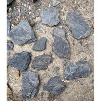 ราคา หินกาบป่า กาบป่า 1กิโล (27904076560)