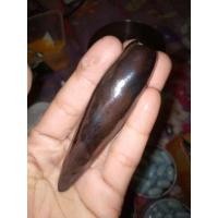 ราคา เหล็กไหลตัดสด พญาสมิงเหล็กโกฏิปีขนาดใหย่กว่าปกติ1เท่าตัว (10406268925)