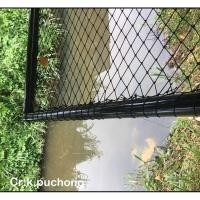 ราคา เปลตาข่าย ตาข่ายแพนอน พร้อมเชือกยึดโครง (สำหรับโครงขนาด 1.5x4 เมตร หรือโครงที่เล็กกว่า) (11320920370)