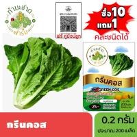 ราคา ทำมะชาดฟาร์ม (ซื้อ10แถม1) เมล็ดพันธุ์ กรีนคอส ขนาด0.2กรัม ประมาณ200เมล็ด GREEN COS ROMAINE LETTUCE ผักคอส ผักสลัด เมล็ด (3335905468)