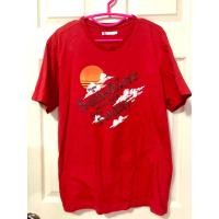 ราคา เสื้อยืดคอกลม AIIZ ผ้าคอตตอน (22666796164)