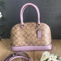 ราคา Coach กระเป๋าสะพายทรงโดม (6134998227)