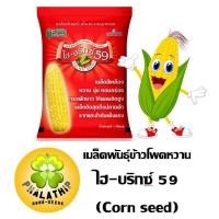 ราคา เมล็ดพันธุ์ข้าวโพดหวานลูกผสม ไฮ-บริกซ์ 59 (ถุงละ 8,500 เมล็ด) (10235440939)