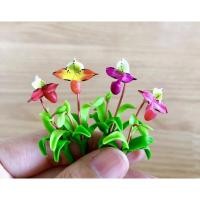 ราคา ดินปั้นกล้วยไม้จิ๋ว กล้วยไม้ป่าจิ๋ว ราคา/ชิ้น (19758886715)