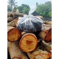 ราคา ถ่านหุงต้มติดไฟทนทำจากไม้แก่น#ไม้สะเดา#ไม้มะขาม#ไม้กระถินณรงค์เป็นต้น (4297607898)