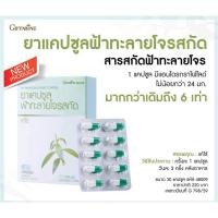 ราคา ยาแคปซูลฟ้าทะลายโจรสกัด ตรากิฟฟารีน/ยาสมัญประจำบ้าน (16239885214)