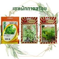 ราคา เมล็ดพันธุ์ ผักกาดเขียวน้อย Seedline 10 กรัม ผักกาดสร้อย ชุนฉ่าย ฉุนแรง (3426967466)
