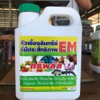 ราคา EM หัวเชื้อจุลินทรีย์ ทรีพลัส 5 ลิตร (7317279685)