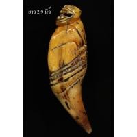 ราคา เขี้ยวหมี หลวงพ่อนก วัดสังกะสี (24866766602)